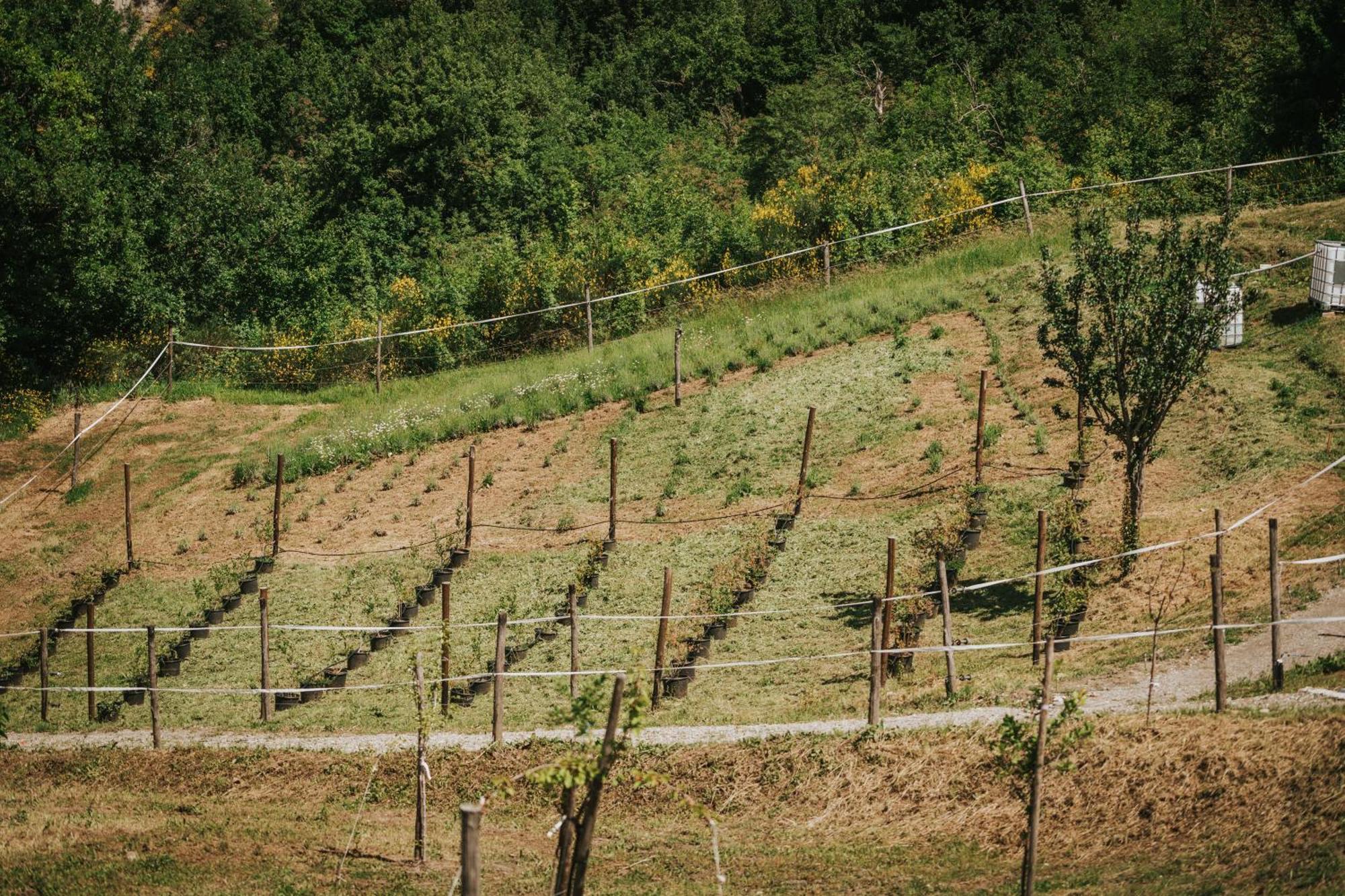 Agricampeggio Ca Di Mazza Monzuno Exterior foto